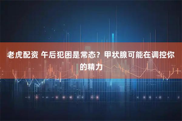 老虎配资 午后犯困是常态？甲状腺可能在调控你的精力