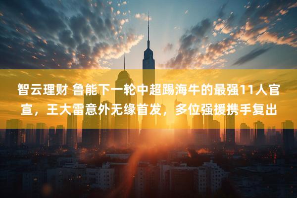 智云理财 鲁能下一轮中超踢海牛的最强11人官宣，王大雷意外无缘首发，多位强援携手复出
