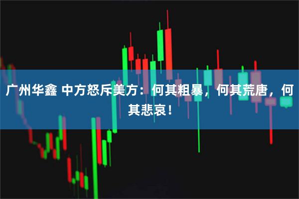 广州华鑫 中方怒斥美方：何其粗暴，何其荒唐，何其悲哀！