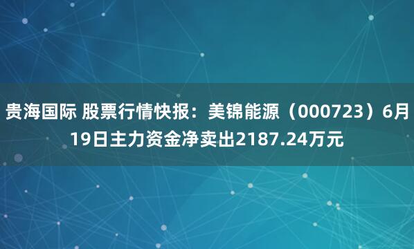 贵海国际 股票行情快报：美锦能源（000723）6月19日主力资金净卖出2187.24万元