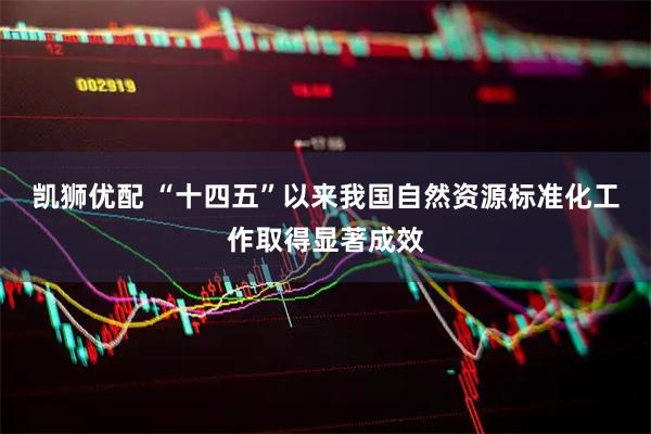 凯狮优配 “十四五”以来我国自然资源标准化工作取得显著成效