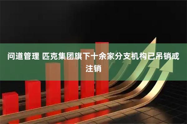 问道管理 匹克集团旗下十余家分支机构已吊销或注销
