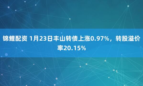 锦鲤配资 1月23日丰山转债上涨0.97%，转股溢价率20.15%