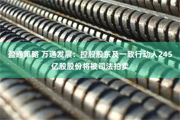 盈通策略 万通发展:控股股东及一致行动人245亿股股份将被司法拍卖