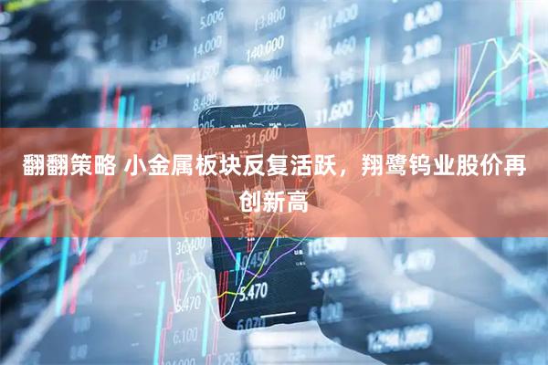 翻翻策略 小金属板块反复活跃，翔鹭钨业股价再创新高
