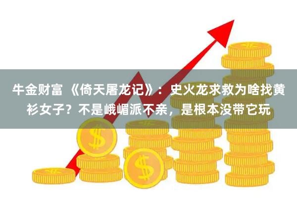 牛金财富 《倚天屠龙记》：史火龙求救为啥找黄衫女子？不是峨嵋派不亲，是根本没带它玩