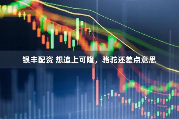 银丰配资 想追上可隆，骆驼还差点意思