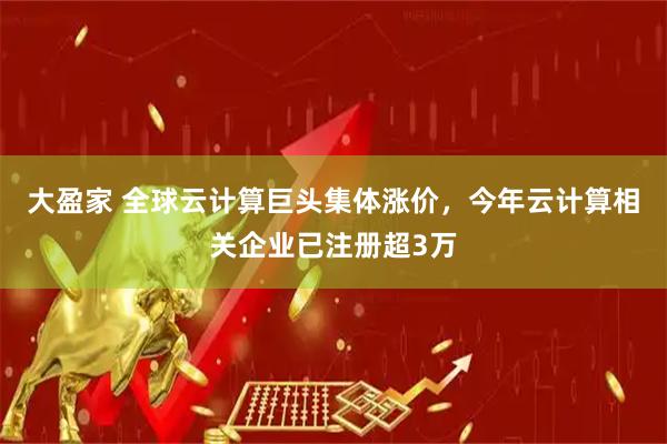 大盈家 全球云计算巨头集体涨价,今年云计算相关企业已注册超3万