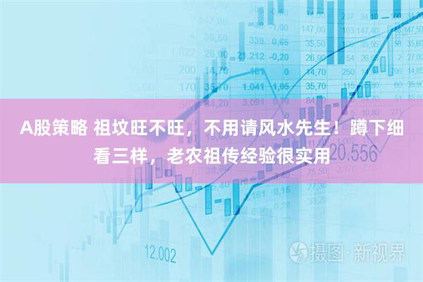 A股策略 祖坟旺不旺,不用请风水先生!蹲下细看三样,老农祖传经验很实用